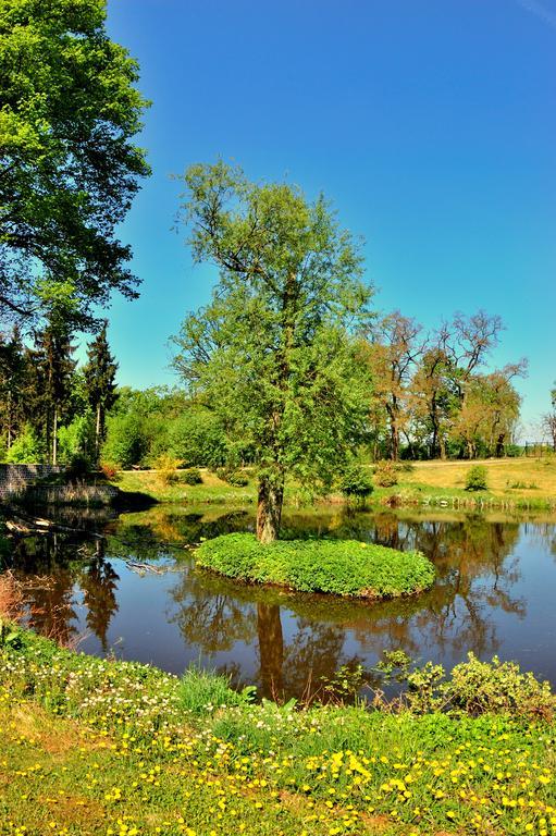 مبيت وإفطار Ujście Palac Jablonowo المظهر الخارجي الصورة